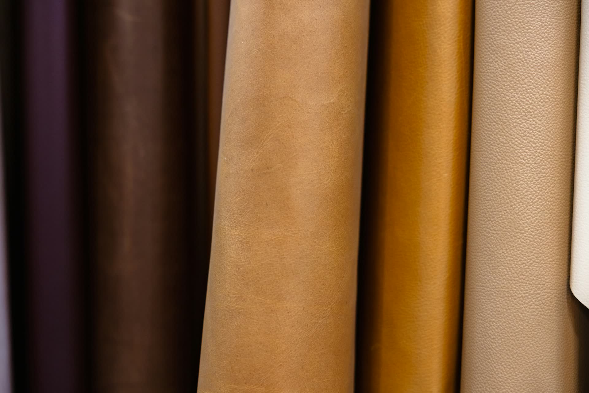 Collection of exotic leather textures — crocodile, python, ostrich, stingray, and suede